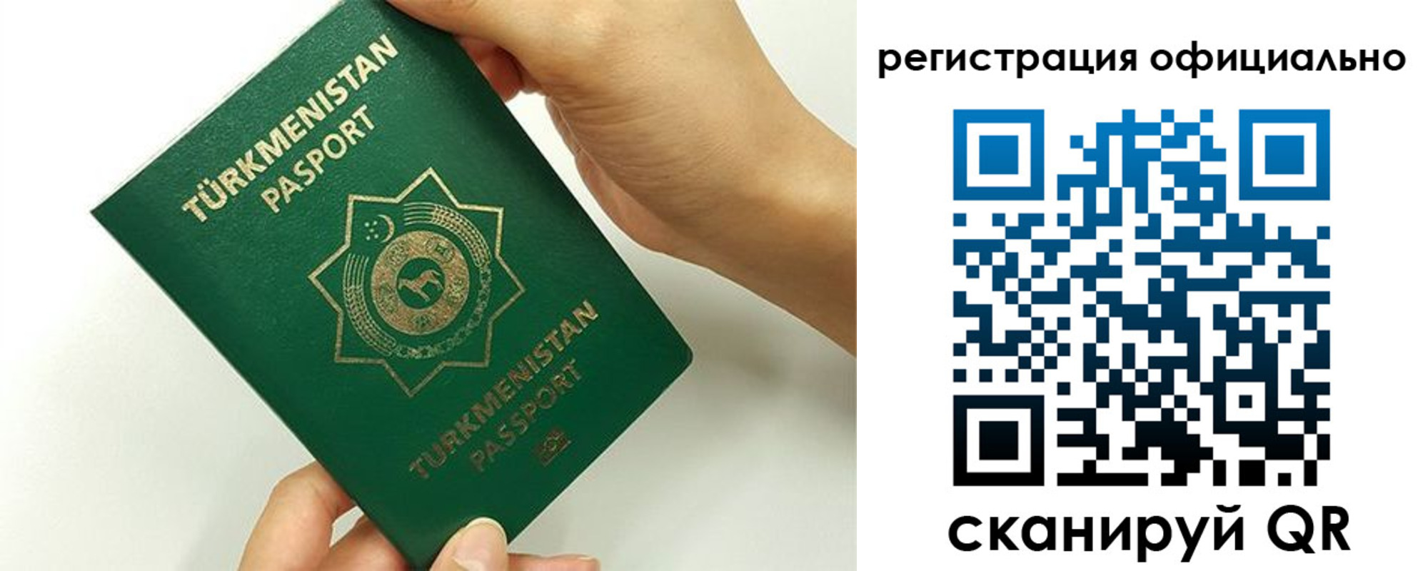прописка поиск в Зеленогорске