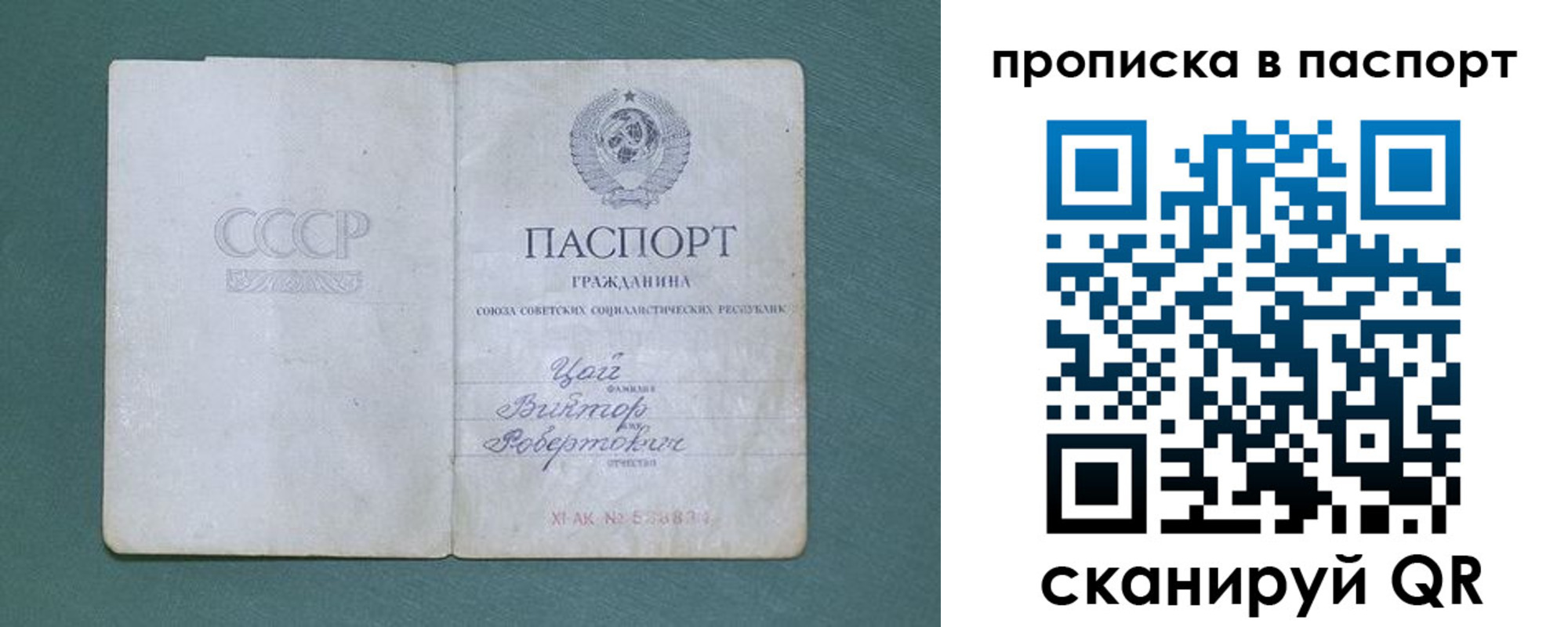 пропишу в квартире в Зеленогорске